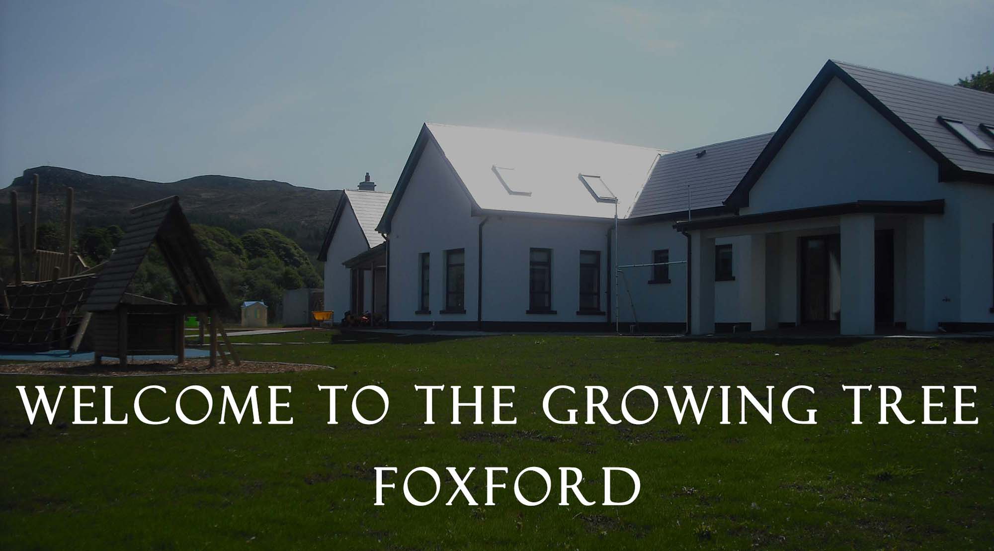 The Growing Tree - Foxford.Preschool and Afterschool Service - slider
